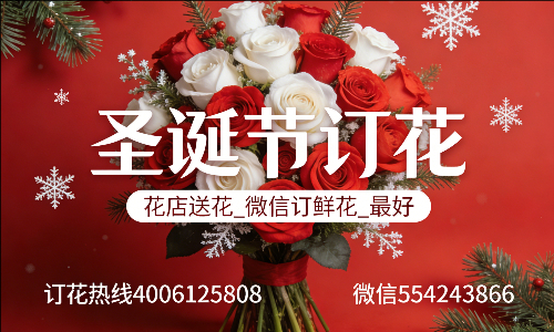 黔南州长顺县花店送花_微信订鲜花_圣诞节订花_最好? 黔南州长顺县花店